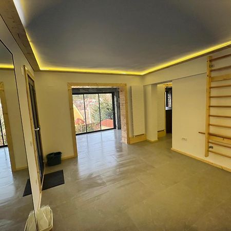 The Bear House 2 Villa Buşteni Екстериор снимка