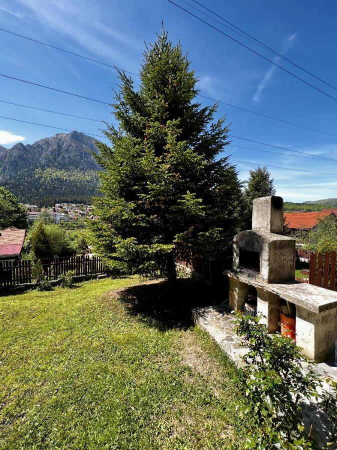 The Bear House 2 Villa Buşteni Екстериор снимка